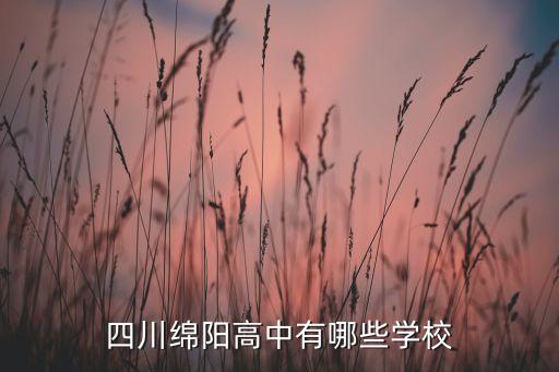 八一中學(xué)足球隊(duì),北京八一中學(xué)足球隊(duì)