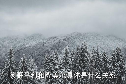 蒙哥馬利和隆美爾具體是什么關系