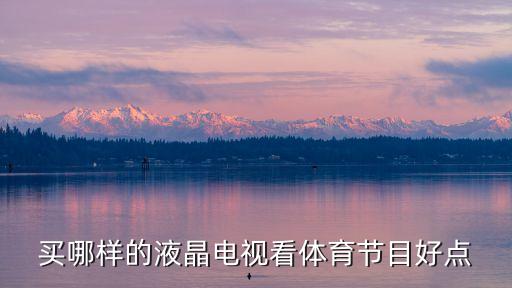 買(mǎi)哪樣的液晶電視看體育節(jié)目好點(diǎn)