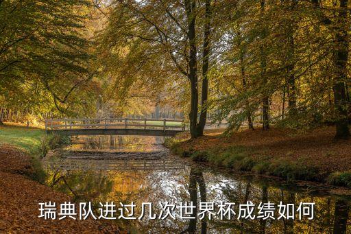 瑞典國家足球隊世預賽,瑞典男子國家足球隊