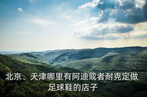 北京、天津哪里有阿迪或者耐克定做 足球鞋的店子