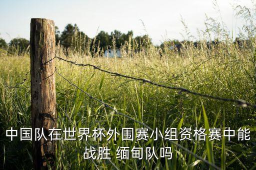 中國隊在世界杯外圍賽小組資格賽中能戰(zhàn)勝 緬甸隊嗎