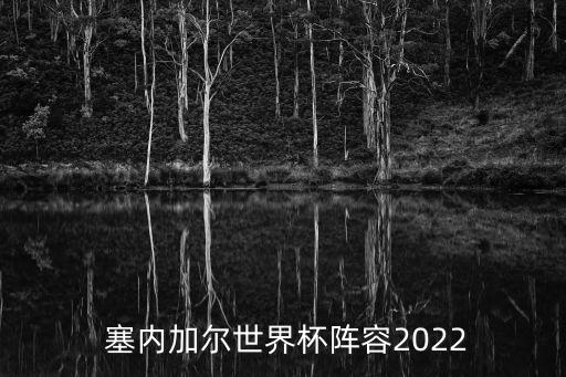  塞內(nèi)加爾世界杯陣容2022
