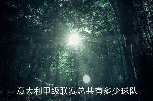  意大利甲級聯(lián)賽總共有多少球隊