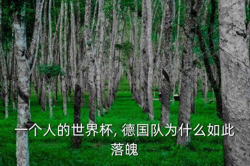 一個(gè)人的世界杯, 德國(guó)隊(duì)為什么如此落魄