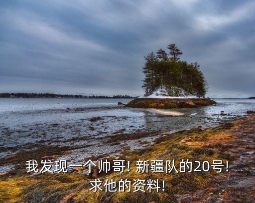 我發(fā)現(xiàn)一個帥哥! 新疆隊(duì)的20號!求他的資料!