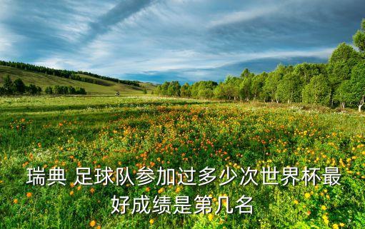  瑞典 足球隊(duì)參加過多少次世界杯最好成績是第幾名