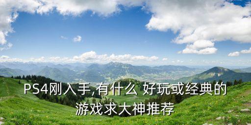 PS4剛?cè)胧?有什么 好玩或經(jīng)典的游戲求大神推薦