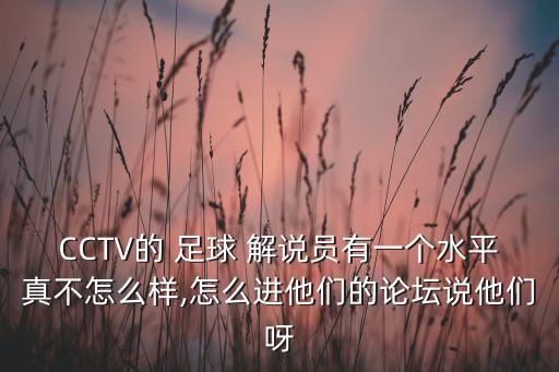 CCTV的 足球 解說員有一個水平真不怎么樣,怎么進(jìn)他們的論壇說他們呀