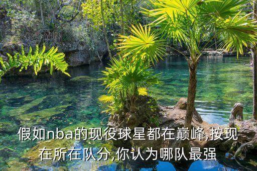 假如nba的現(xiàn)役球星都在巔峰,按現(xiàn)在所在隊分,你認(rèn)為哪隊最強(qiáng)