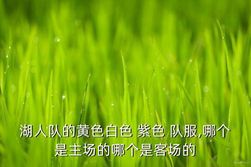 湖人隊(duì)的黃色白色 紫色 隊(duì)服,哪個(gè)是主場的哪個(gè)是客場的