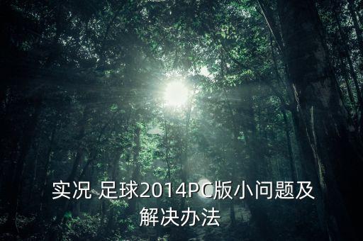 實況 足球2014PC版小問題及解決辦法