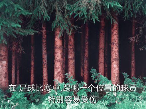 在 足球比賽中,踢哪一個(gè)位置的球員特別容易受傷