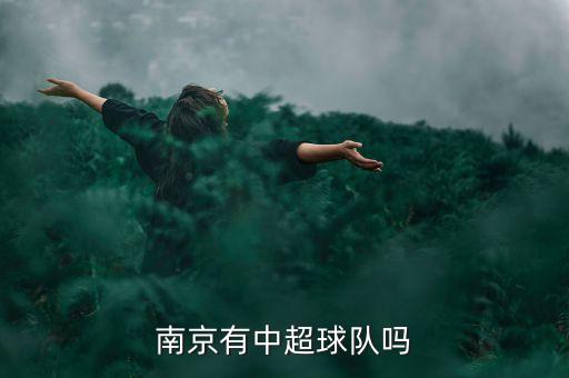 江蘇蘇寧足球隊陣容名單,蘇寧足球隊外援名單