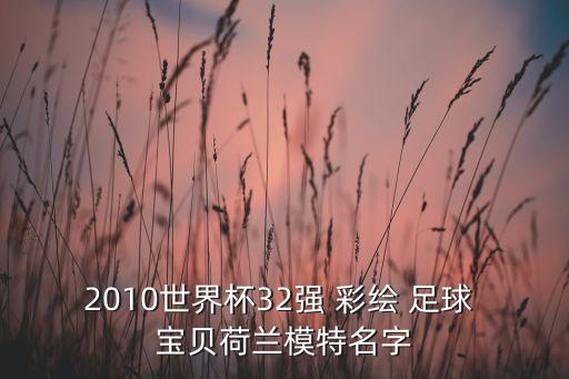 2010世界杯32強(qiáng) 彩繪 足球 寶貝荷蘭模特名字