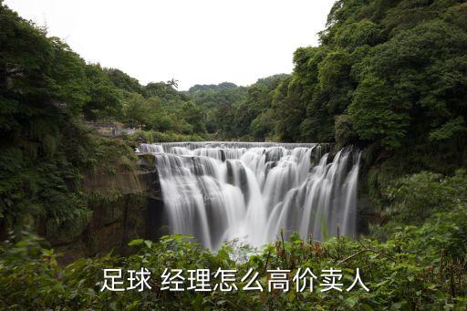 足球 經(jīng)理怎么高價(jià)賣人