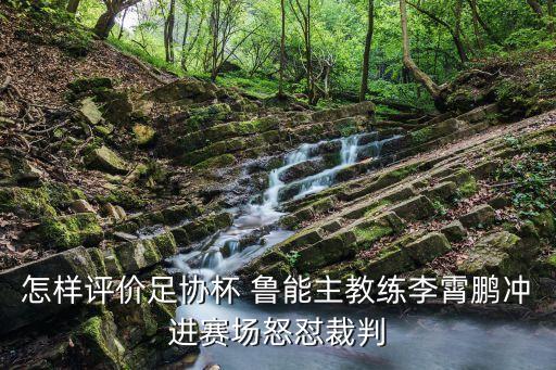 怎樣評價足協(xié)杯 魯能主教練李霄鵬沖進(jìn)賽場怒懟裁判