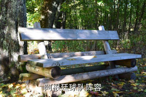 阿根廷球隊陣容