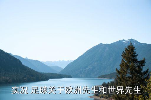 實(shí)況足球第二季