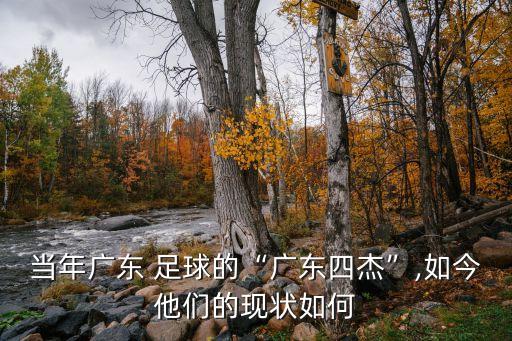 當(dāng)年廣東 足球的“廣東四杰”,如今他們的現(xiàn)狀如何