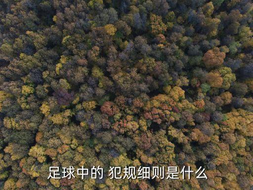  足球中的 犯規(guī)細則是什么