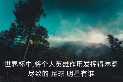 世界杯中,將個(gè)人英雄作用發(fā)揮得淋漓盡致的 足球 明星有誰