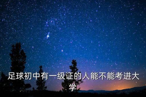 王登峰 校園足球育人