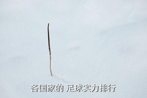 各國(guó)家的 足球?qū)嵙ε判? class=