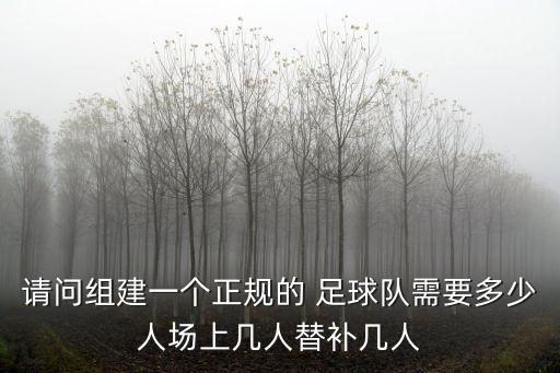 請(qǐng)問組建一個(gè)正規(guī)的 足球隊(duì)需要多少人場(chǎng)上幾人替補(bǔ)幾人
