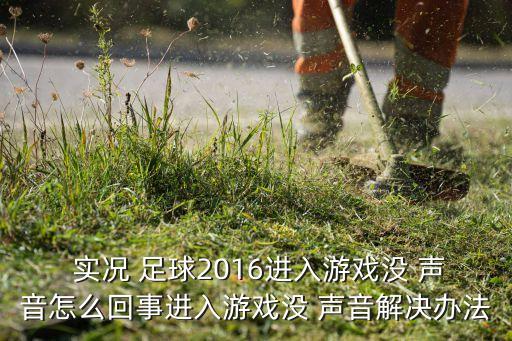  實(shí)況 足球2016進(jìn)入游戲沒(méi) 聲音怎么回事進(jìn)入游戲沒(méi) 聲音解決辦法