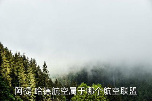 阿提 哈德航空屬于哪個航空聯(lián)盟