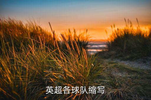 英超各球隊(duì)縮寫