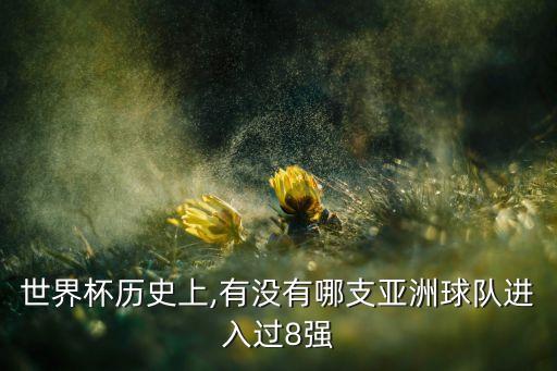 世界杯歷史上,有沒有哪支亞洲球隊(duì)進(jìn)入過8強(qiáng)