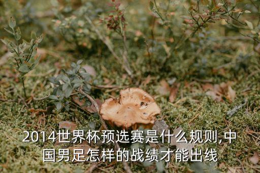 2014世界杯預(yù)選賽是什么規(guī)則,中國(guó)男足怎樣的戰(zhàn)績(jī)才能出線