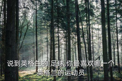 說到英格蘭的 足球,你最喜歡哪一個英格蘭的運(yùn)動員