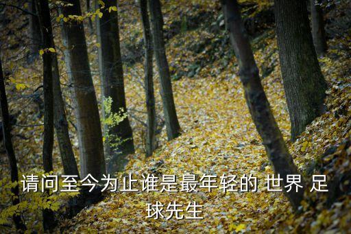 請問至今為止誰是最年輕的 世界 足球先生