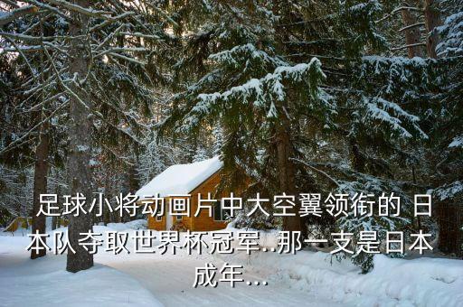  足球小將動(dòng)畫(huà)片中大空翼領(lǐng)銜的 日本隊(duì)奪取世界杯冠軍..那一支是日本成年...