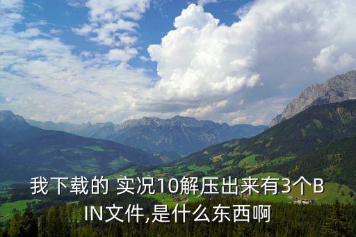 我下載的 實(shí)況10解壓出來(lái)有3個(gè)BIN文件,是什么東西啊