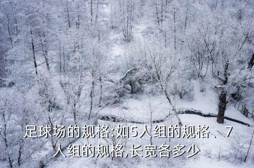 五人足球場(chǎng)地場(chǎng)地規(guī)則,室內(nèi)五人足球場(chǎng)地標(biāo)準(zhǔn)尺寸