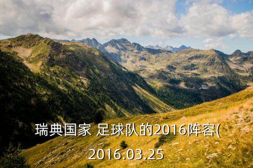  瑞典國家 足球隊(duì)的2016陣容(2016.03.25