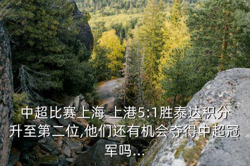 上海上港足球俱樂部對天津權健