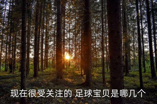 現(xiàn)在很受關(guān)注的 足球?qū)氊愂悄膸讉€