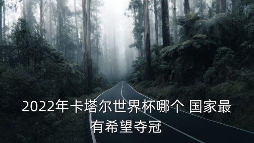 2022年卡塔爾世界杯哪個(gè) 國(guó)家最有希望奪冠