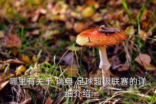 挪威戰(zhàn)瑞典足球,挪威和瑞典為什么分開(kāi)了