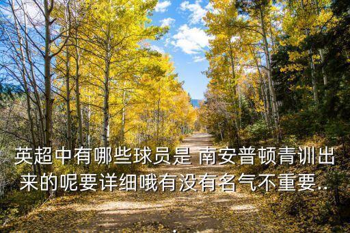 英超中有哪些球員是 南安普頓青訓出來的呢要詳細哦有沒有名氣不重要...
