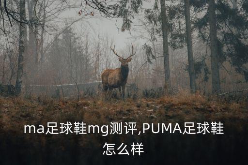 ma足球鞋mg測(cè)評(píng),PUMA足球鞋怎么樣