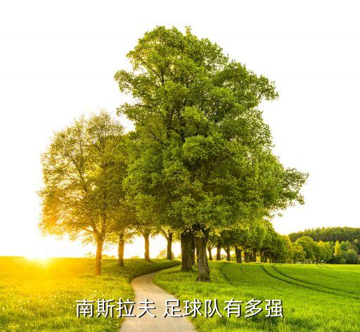 黑山國家足球,黑山足球運(yùn)動員