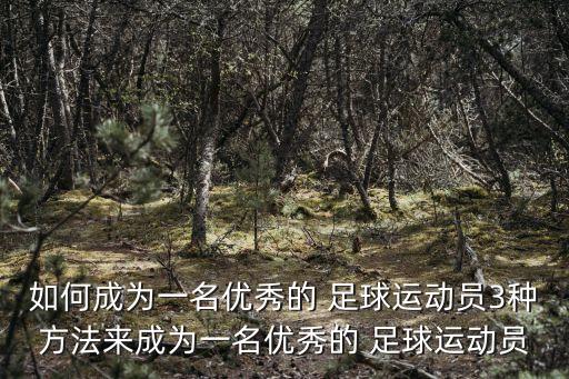 如何成為一名優(yōu)秀的 足球運動員3種方法來成為一名優(yōu)秀的 足球運動員