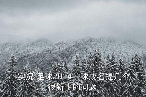  實(shí)況 足球2014一球成名提幾個(gè)很新手的問題