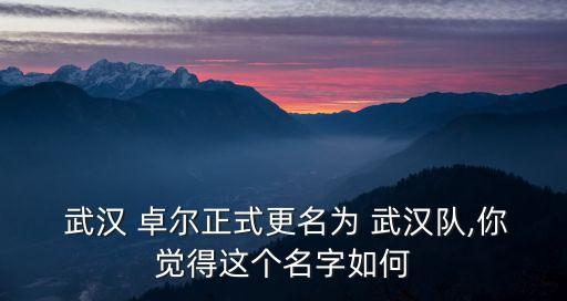 武漢卓爾足球俱樂部2019年